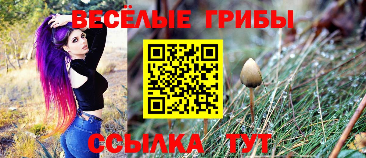 наркотики  Псилоцибиновые грибы мухоморы  Балашиха  Вход с VPN  Галлюциногенные грибы мицелий 