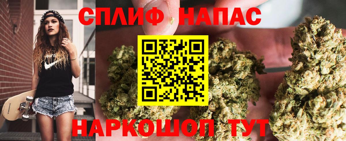 Балашиха  Канабис гибрид  Канабис гибрид  Вход с VPN  Бошки марихуана сатива  Бошки марихуана конопля 
